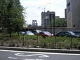 DSCN1109.jpg